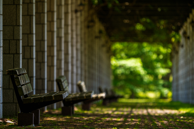 公園のベンチ